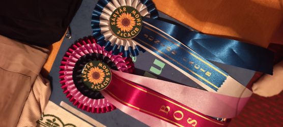 Special Champion Weekend 2026 in Sarvar (Hun)